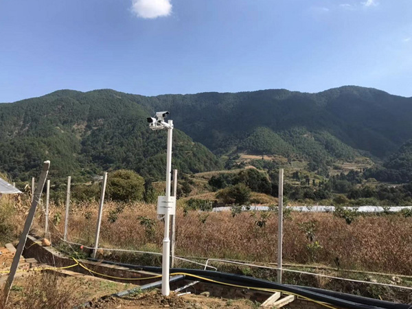 生態葡萄園基地視頻監控